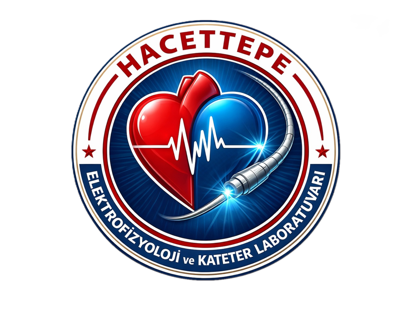 Hacettepe Logo